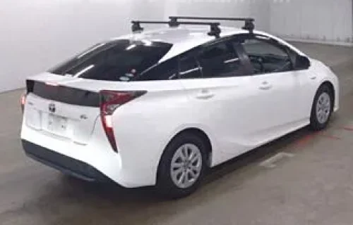 WhatsApp Image 2025-10-28 at 6.51.09 PM (1)