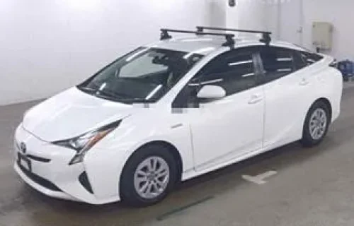 WhatsApp Image 2025-10-28 at 6.51.09 PM